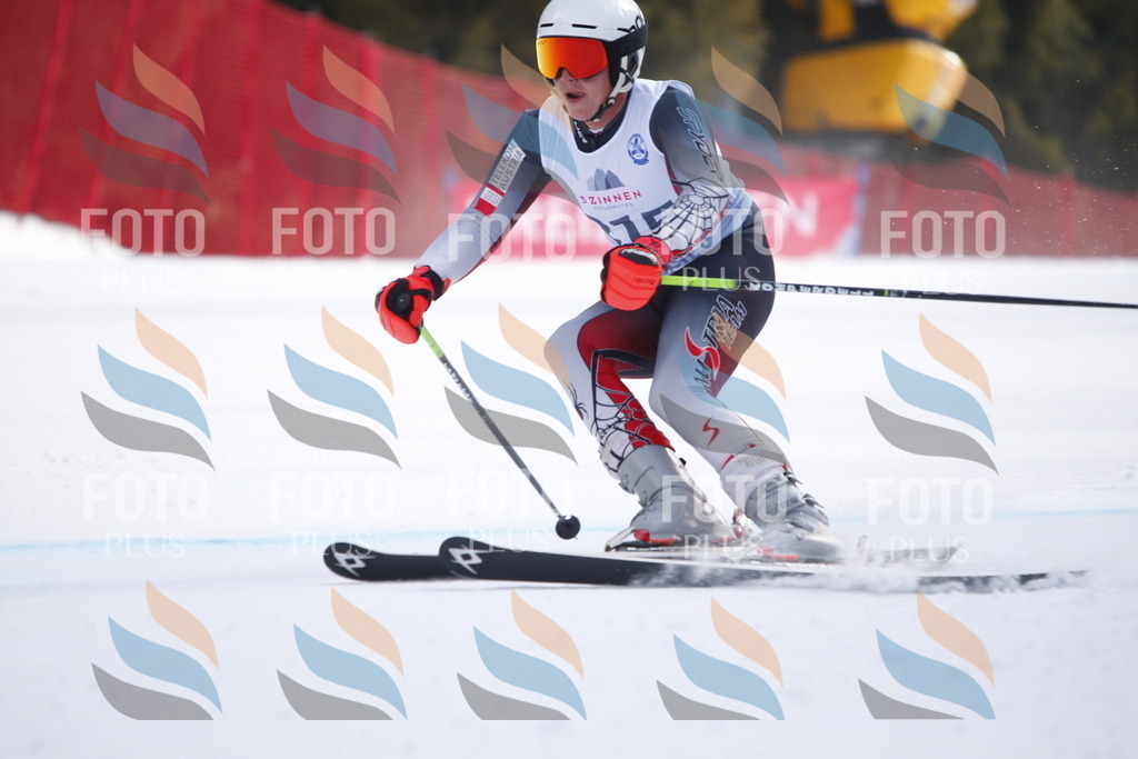 D8319 | holidayphoto