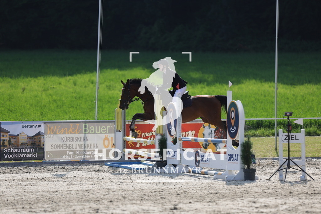 0P6A6378 | Willkommen bei Brunnmayr - Design & Fotografie – Ihrem Spezialisten für Reitturniere und Pferdeveranstaltungen in Oberösterreich, Salzburg und Bayern! Seit über 17 Jahren sind wir leidenschaftlich dabei.
