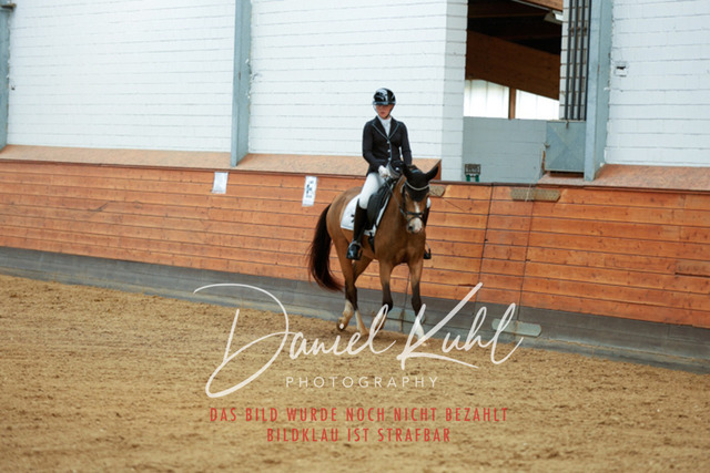 _62_5335 | Turniersportfotografie; Pferdefotografie; Dressurfotografie