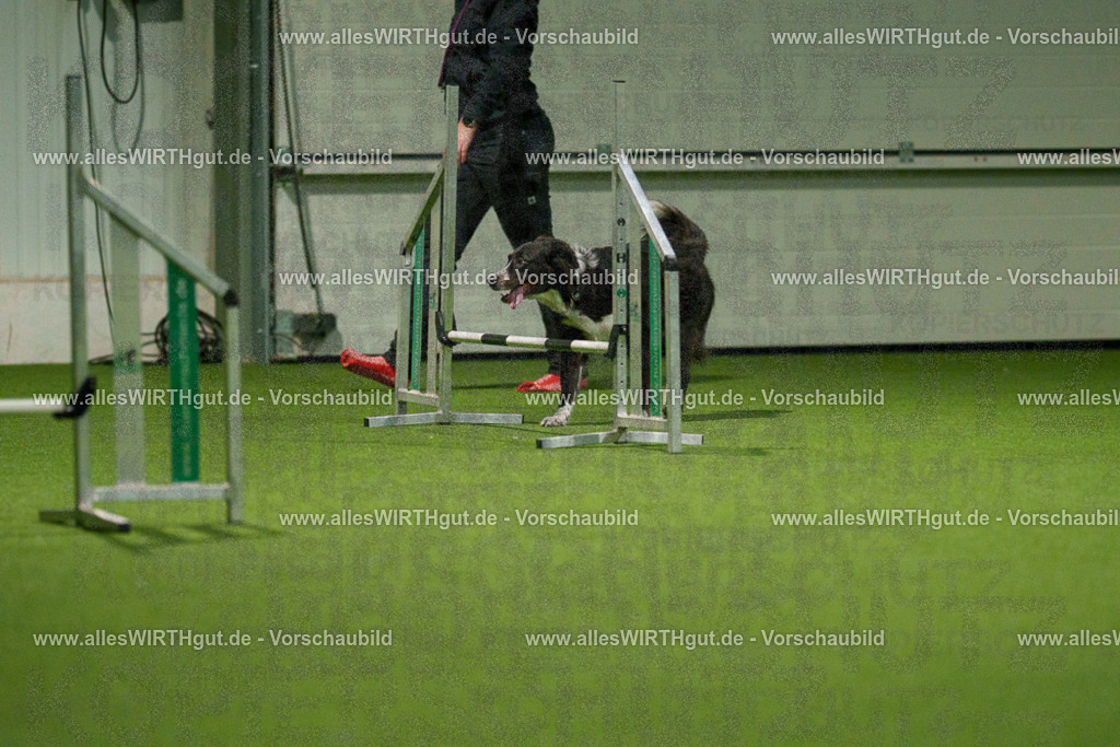 7R507307 | Professionelle Tierfotografie in Mönchengladbach von Daniel Wirth (allesWIRTHgut). Liebevolle & natürliche Bilder von Hunden & Katzen für unvergessliche Erinnerungen.