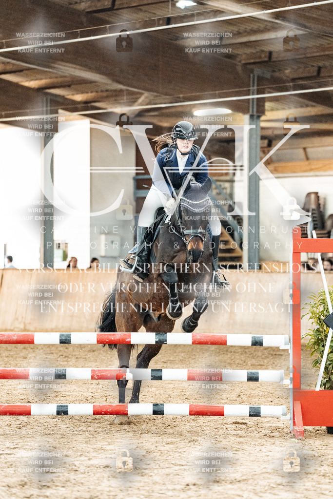 CK904270 | Turnierfotografie Pferdefotografie Trier Rheinland-Pfalz Pferdesport Reitsport Tierfotografie Sportfotografie Pferdevideo Pferdevideografie Equestrianvideography equestrianphotography  - Realized with Pictrs.com