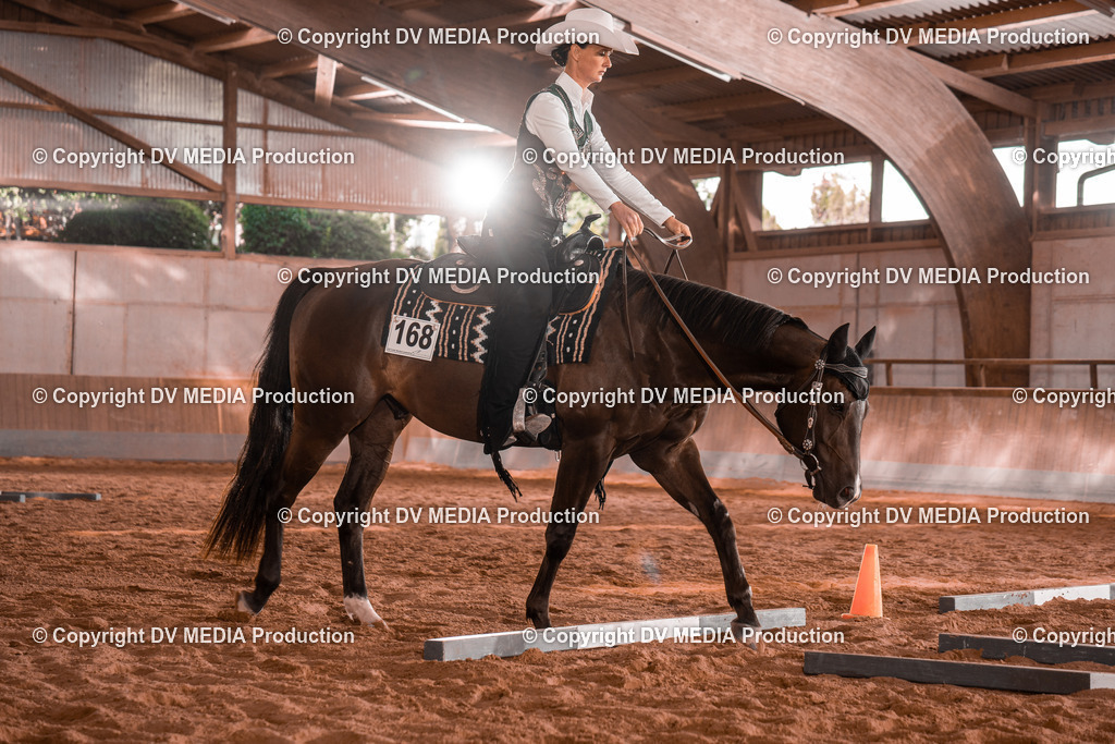 NE200146 | dv-media-shop - Realisiert mit Pictrs.com