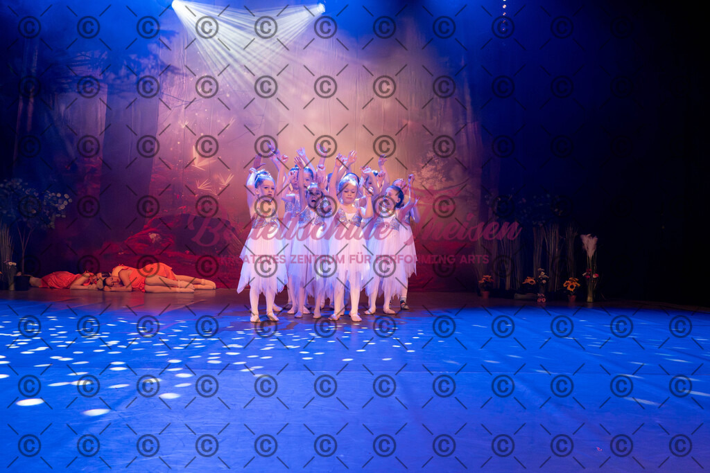 Ballettaufführung-571 | Bildershop Lem'n Entertainment - Realisiert mit Pictrs.com