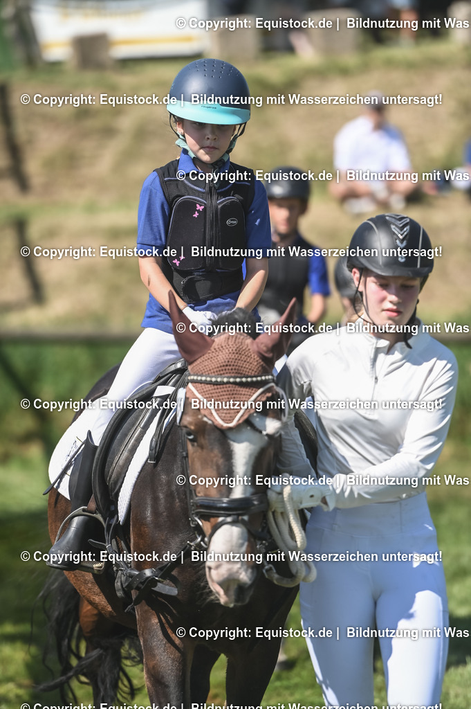 20230910_11-3_Führzügel-WB_0093 | Foto: Thomas Hartig