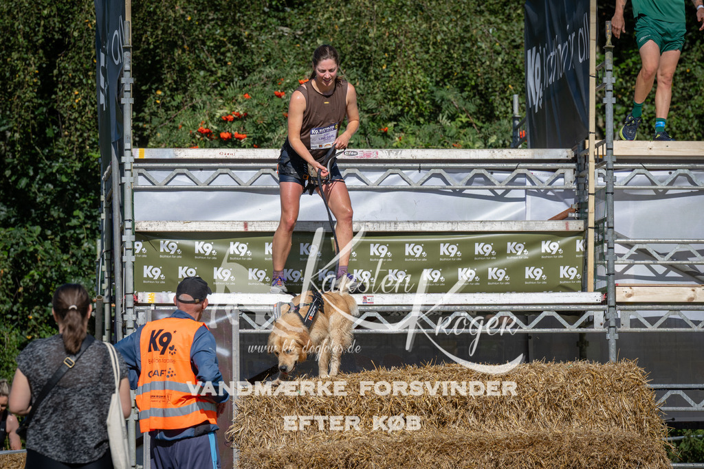 1017_ZZ98087 | kk-dogfotos