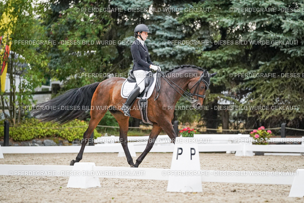 DSC09662 | Pferdegrafie