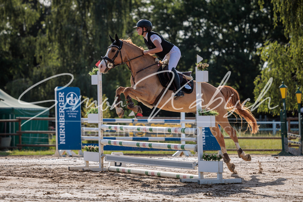 20260529-_3LI0028 | Tierfotografie Pferde, Hunde, Katzen, Haustiere.
Turnierfotografie Reitturniere, Reiten, Springreiten, Dressur in Hanau, dem Main-Kinzig-Kreis und dem Rhein-Main- Gebiet um Frankfurt