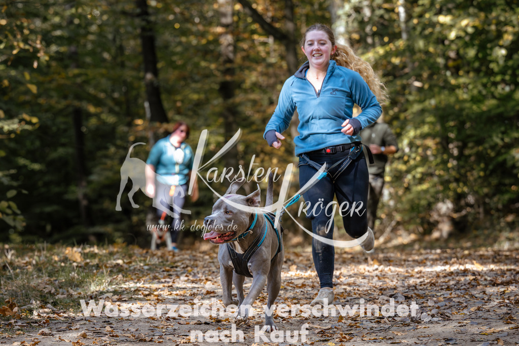 1247_ZZ96149 | kk-dogfotos