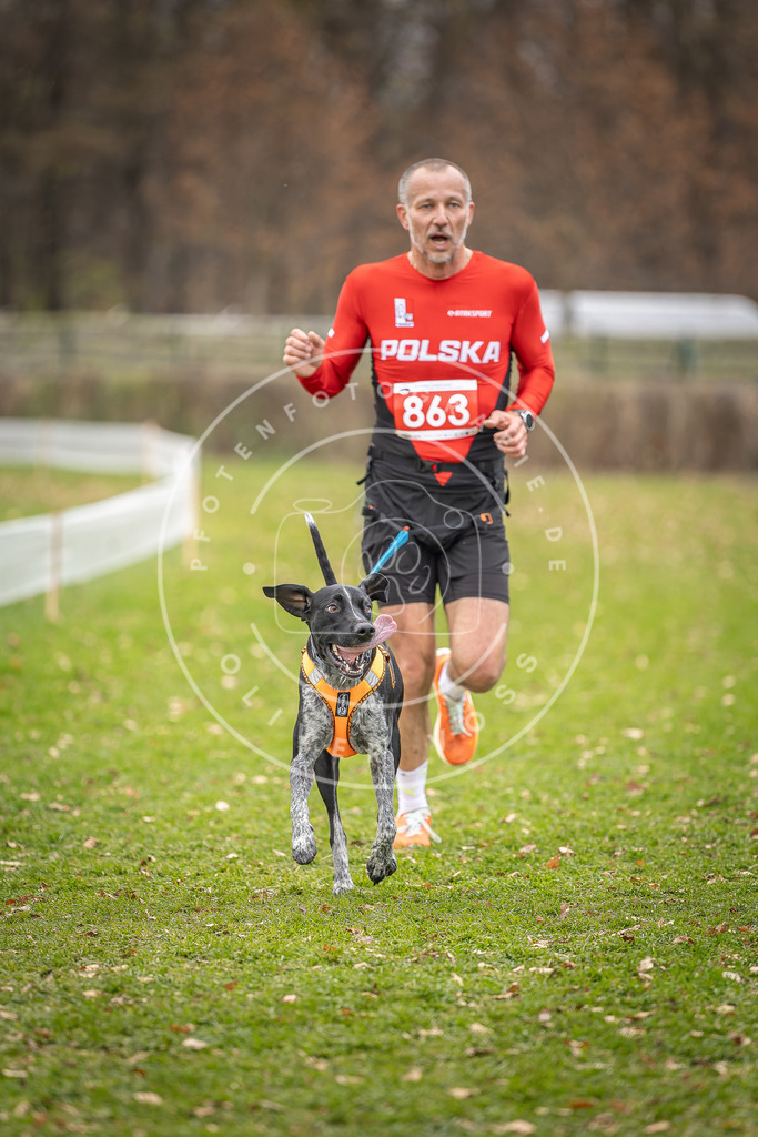 CaniXpix_DV3A6738 | Hundefotografie, Tierfotograf, Pfotenfotografie, Fotoshooting Hund, Hunde Portrait, Hundesport, Hundeportraits, Heideshooting, Hunde, Sportfotograf, Hundefotograf, Turnierhundsport, THS,  - Realisiert mit Pictrs.com