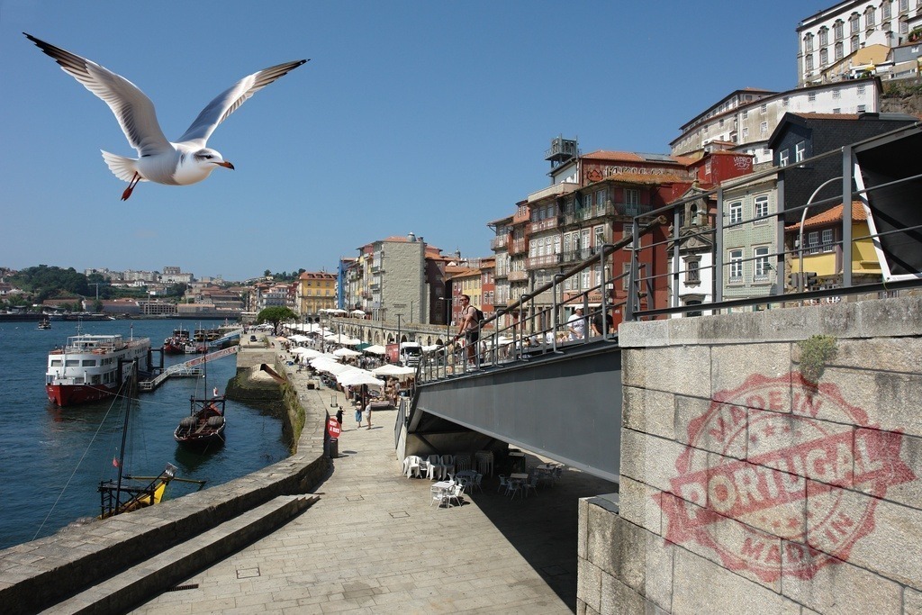 Flying seagull over Ribeira district and Douro river in Porto, Portugal | Seagull flying over the historic Ribeira waterfront with traditional buildings and river tourism boats - Realized with Pictrs.com