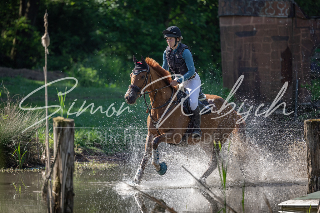 20260523-_3LI6456 | Tierfotografie Pferde, Hunde, Katzen, Haustiere.
Turnierfotografie Reitturniere, Reiten, Springreiten, Dressur in Hanau, dem Main-Kinzig-Kreis und dem Rhein-Main- Gebiet um Frankfurt