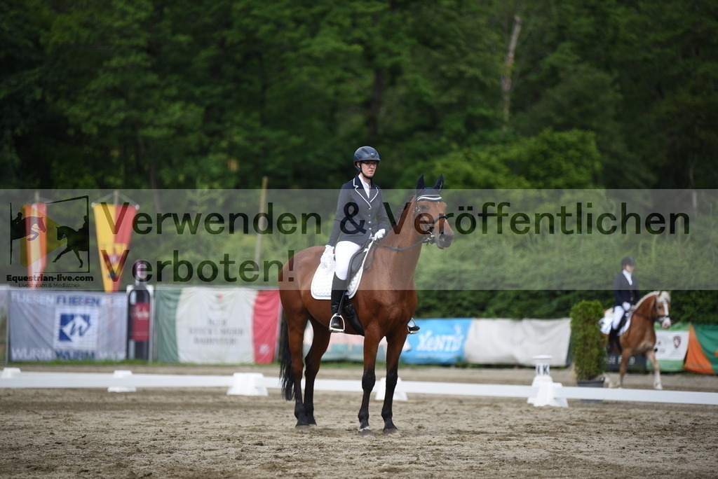DSC_8647 | equestrian-live-com