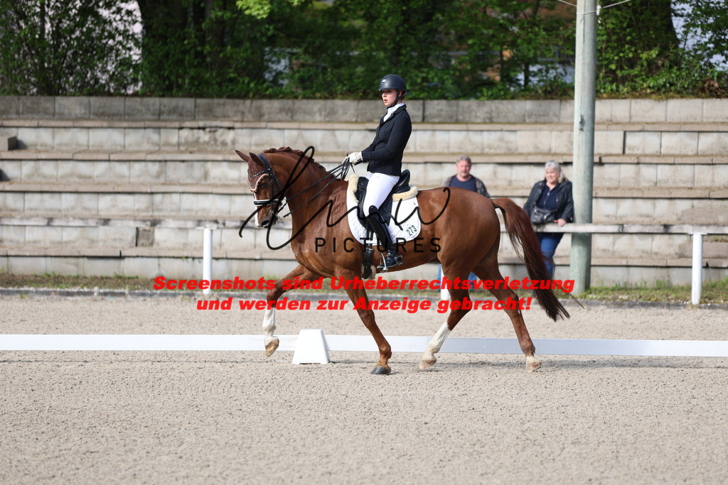 A40A3406 | lmwpictures - Realisiert mit Pictrs.com