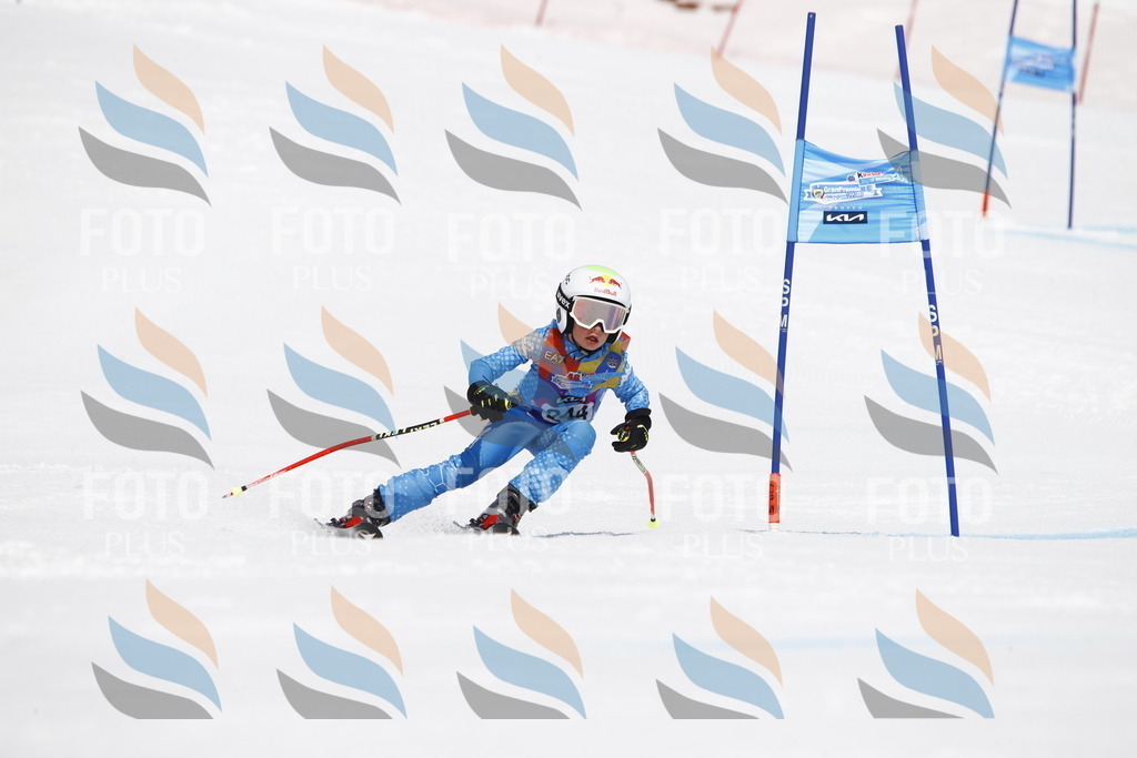 _U3G6166 | holidayphoto