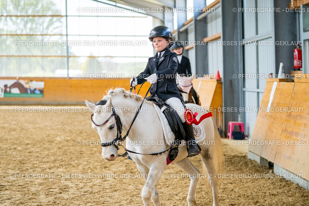 DSC01226 | Pferdegrafie