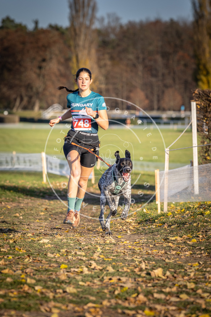 CaniXpix_DV3A2358 | Hundefotografie, Tierfotograf, Pfotenfotografie, Fotoshooting Hund, Hunde Portrait, Hundesport, Hundeportraits, Heideshooting, Hunde, Sportfotograf, Hundefotograf, Turnierhundsport, THS,  - Realisiert mit Pictrs.com