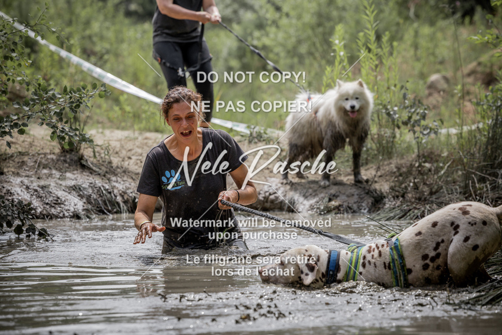 nelerasche_so1300-1330_61 | nelerasche