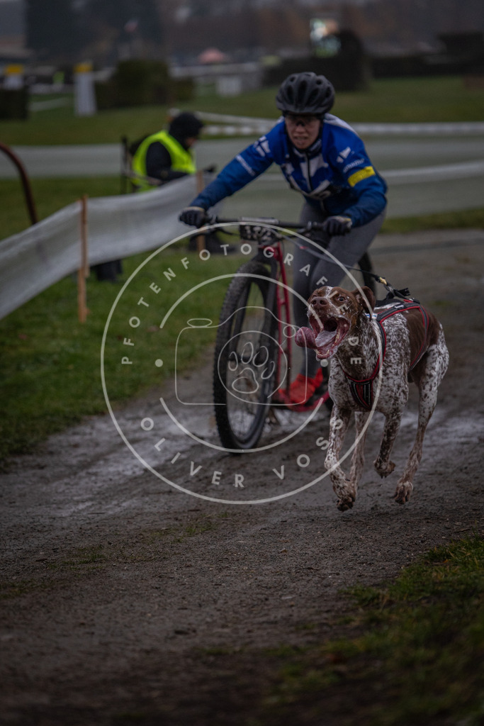 CaniXpix_0L8A0332 | Hundefotografie, Tierfotograf, Pfotenfotografie, Fotoshooting Hund, Hunde Portrait, Hundesport, Hundeportraits, Heideshooting, Hunde, Sportfotograf, Hundefotograf, Turnierhundsport, THS,  - Realisiert mit Pictrs.com