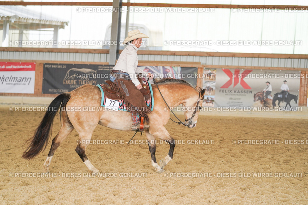 DSC01837 | Pferdegrafie