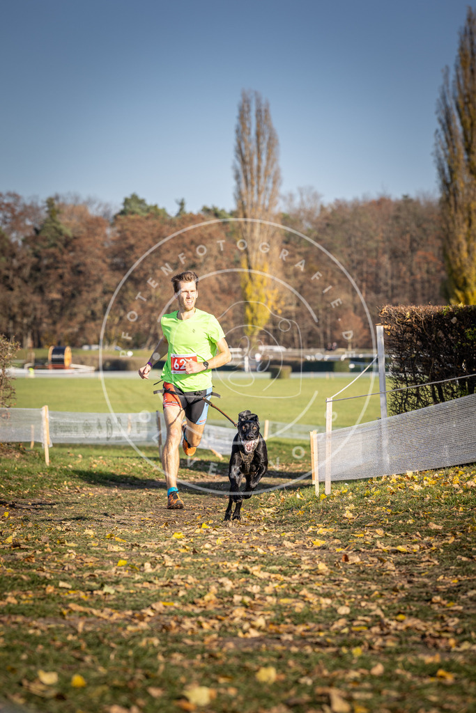 CaniXpix_DV3A0005 | Hundefotografie, Tierfotograf, Pfotenfotografie, Fotoshooting Hund, Hunde Portrait, Hundesport, Hundeportraits, Heideshooting, Hunde, Sportfotograf, Hundefotograf, Turnierhundsport, THS,  - Realisiert mit Pictrs.com