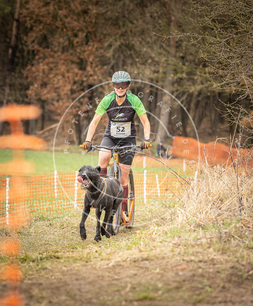 DV3A1538 | Hundefotografie, Tierfotograf, Pfotenfotografie, Fotoshooting Hund, Hunde Portrait, Hundesport, Hundeportraits, Heideshooting, Hunde, Sportfotograf, Hundefotograf, Turnierhundsport, THS,  - Realisiert mit Pictrs.com