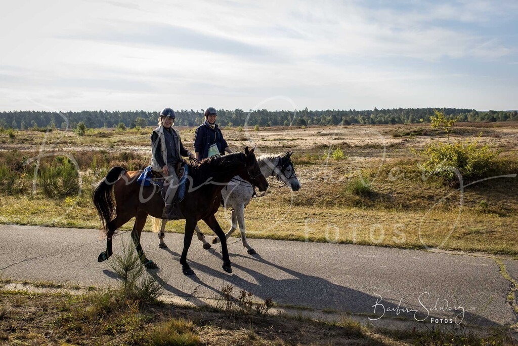 DdLH-TrotBy_2025-09-20_78 | Fotografie, Veranstaltungs-Fotografie, Pferde-Fotografie, Landschafts-Fotografie, Reise-Fotografie - Realisiert mit Pictrs.com