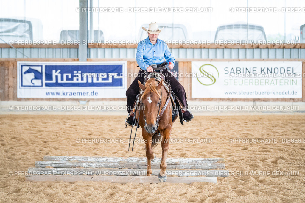 DSC02943 | Pferdegrafie