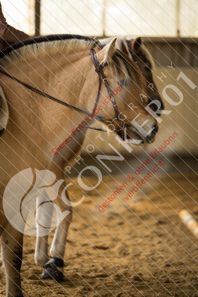 CON_3008 | Sport-, Event- und Tierfotos in Profiqualität. Einfach auswählen, bestellen und herunterladen. Dein Moment – perfekt festgehalten.