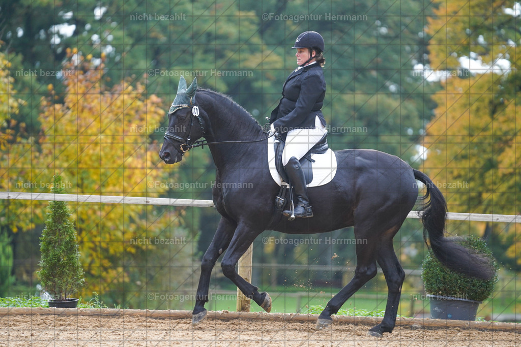 20221008-FAH00862 | Diessen am Ammersee, 2022, Dressur- und Springturnier, Reitsportbilder, Turnierfotografen Bayern, Pferdefotografen, Fotoagentur Herrmann, Turnierbilder