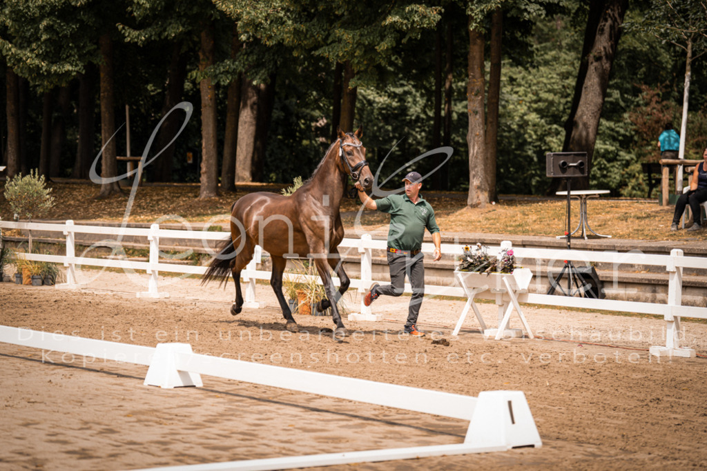 2. Fr00043 | Leoni Ertmer Photography - Realisiert mit Pictrs.com