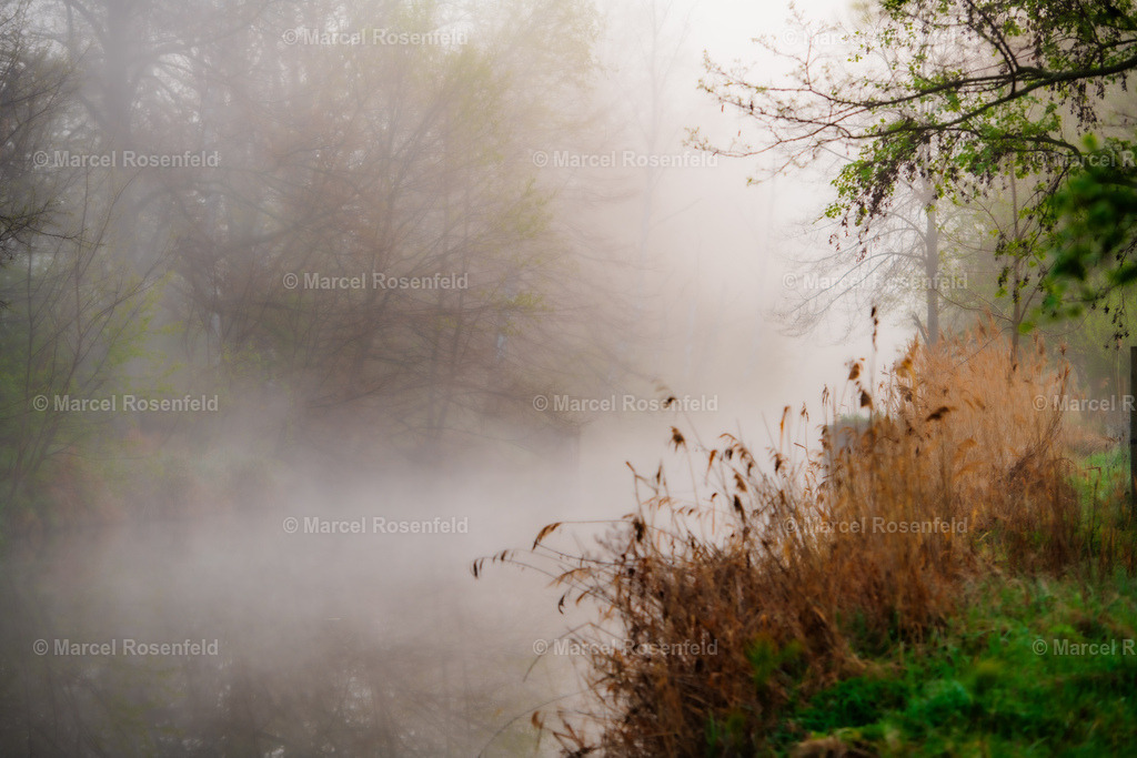 _DSC3012 (1) | foto-rosenfeld