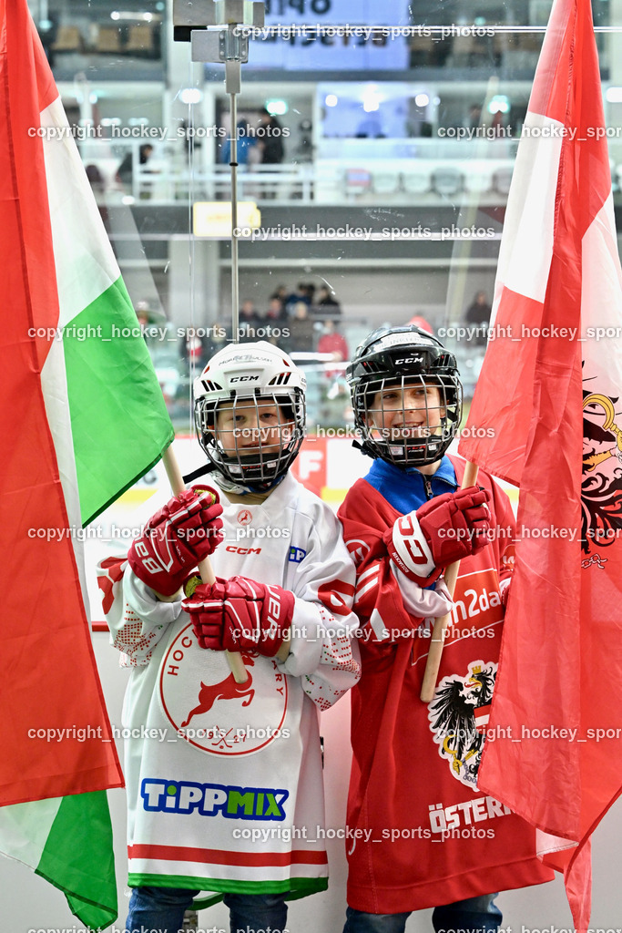 Österreich vs. Ungarn 14.12.2023 | Österreich vs. Ungarn 14.12.2023, Österreich vs. Ungarn  am 14.12.2023 in Klagenfurt (Heidi Horten Arena), Austria, (Photo by Bernd Stefan)