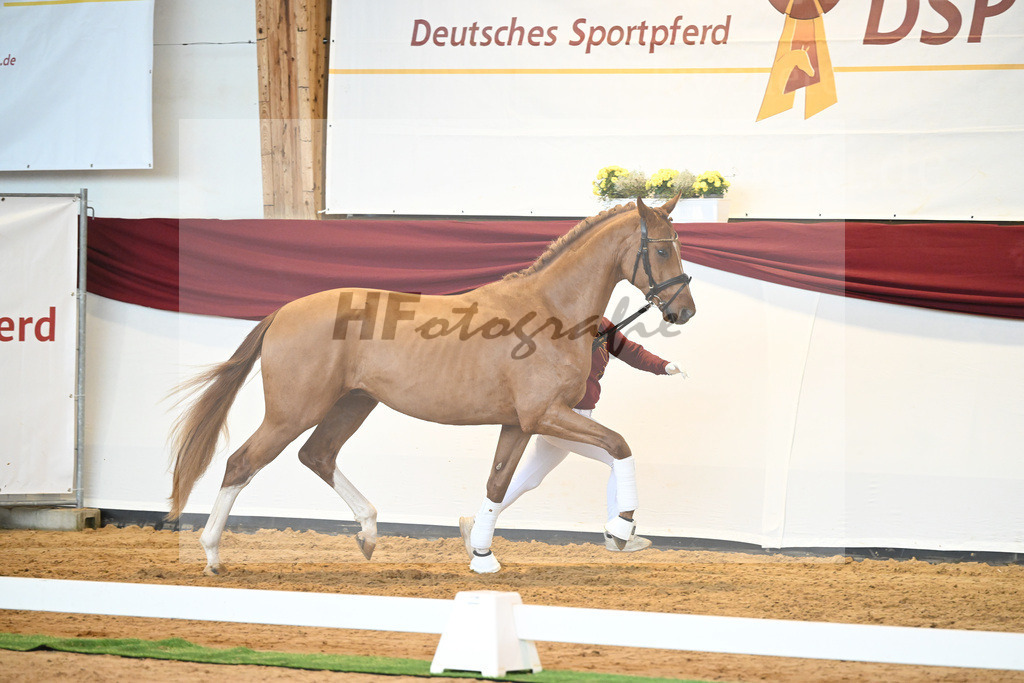 Kat-Nr. 56 v. Vivaldos_Fischer_66220820 | hf-fotografie - Realisiert mit Pictrs.com