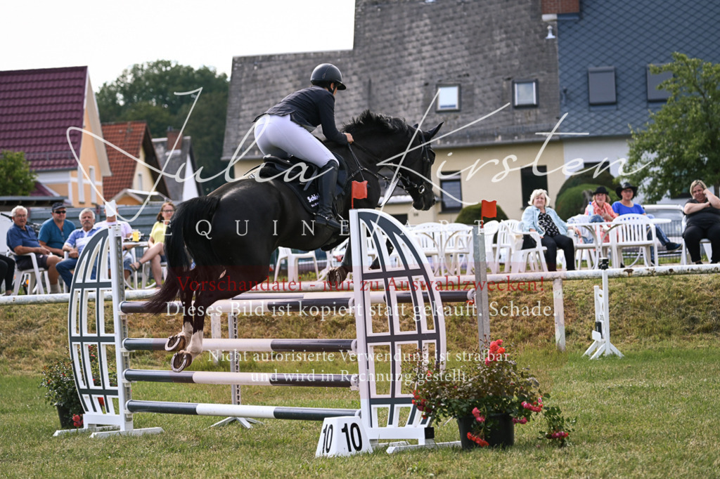 DSC_0835 | Pferde- und Turnierfotografie in Westsachsen. Pferdeportraits, Auftragszeichnungen und intuitive Kunst.