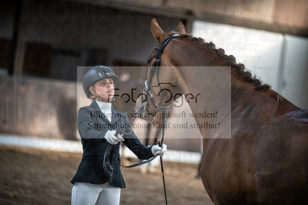 DOS_0499 | Entdecke hochwertige Reitturnierfotos von Foto Oger. Professionell, emotional und authentisch – jetzt Lieblingsmomente im Shop bestellen.Deutschlandweite Turnierfotografie. - Realized with Pictrs.com