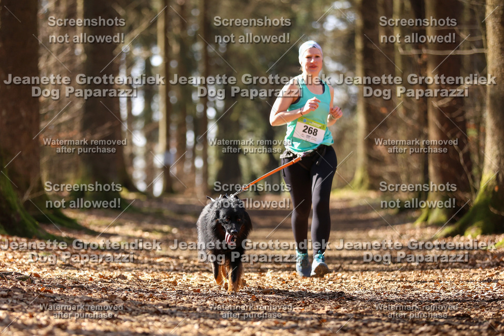 Dog Paparazzi - VCC26-1226 | Dog Paparazzi Jeanette Grottendiek Fotografie & Videografie - Realisiert mit Pictrs.com