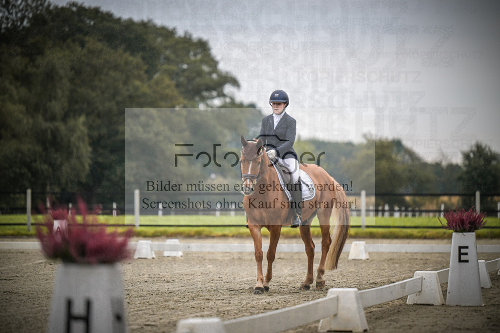 DOS_0347 | Entdecke hochwertige Reitturnierfotos von Foto Oger. Professionell, emotional und authentisch – jetzt Lieblingsmomente im Shop bestellen.Deutschlandweite Turnierfotografie. - Realisiert mit Pictrs.com