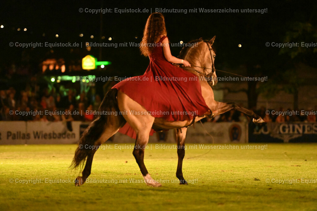 20230526_Pferdenacht_1377 | equistock