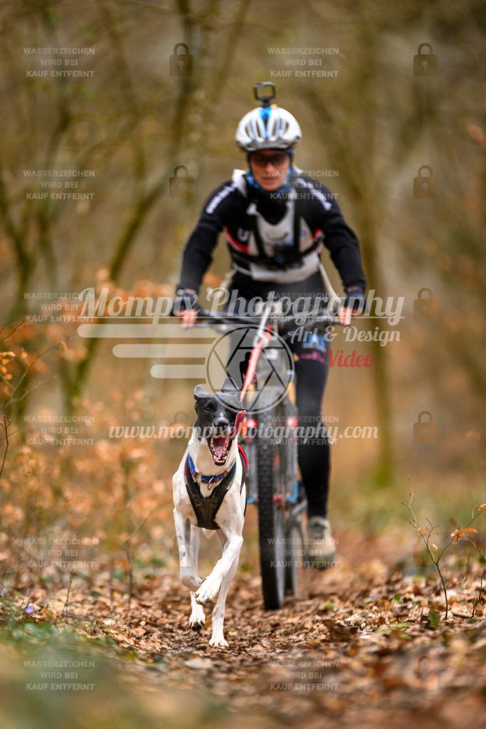 MompixPhotography_ReiatRennen2024_SO_Bike1H-21 | PayLife