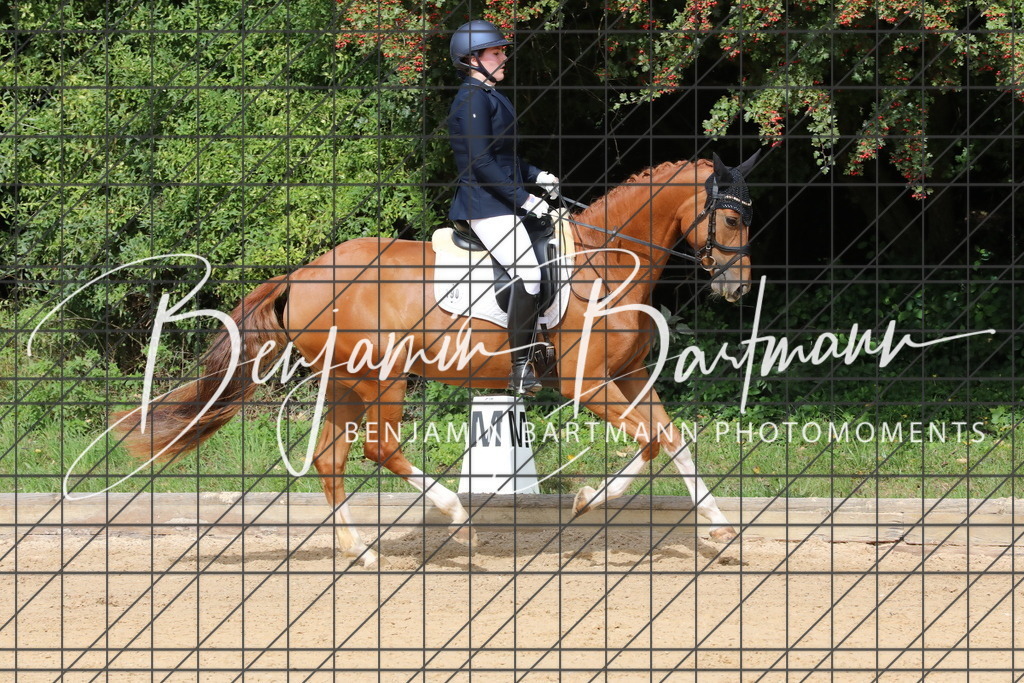 AZ2A2171 | Benjamin Bartmann Photomoments