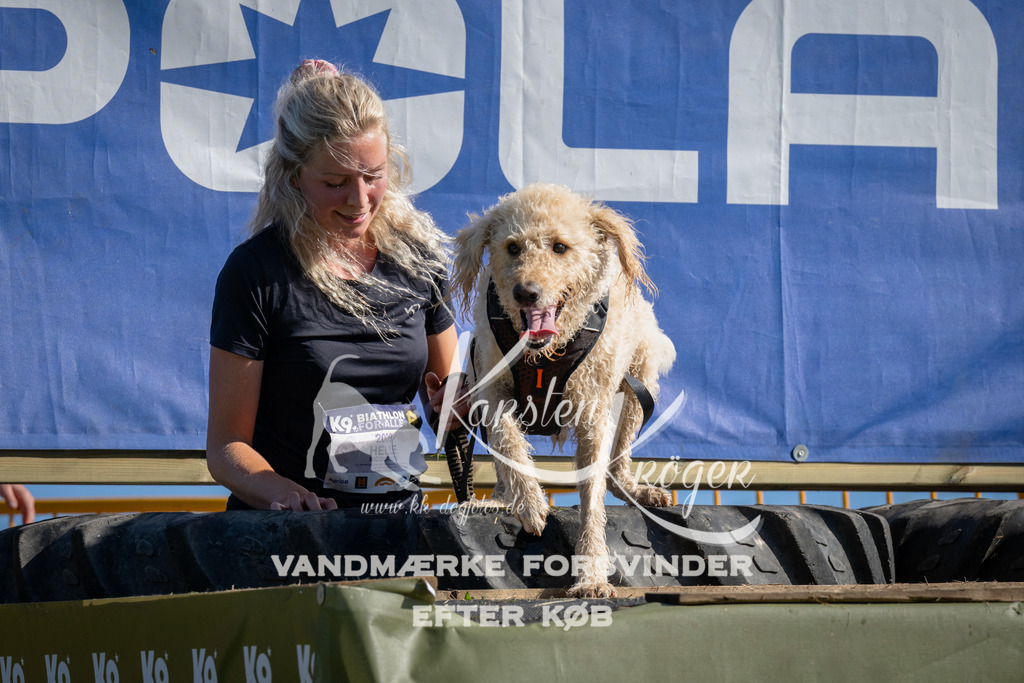 1005_ZZ97453 | kk-dogfotos