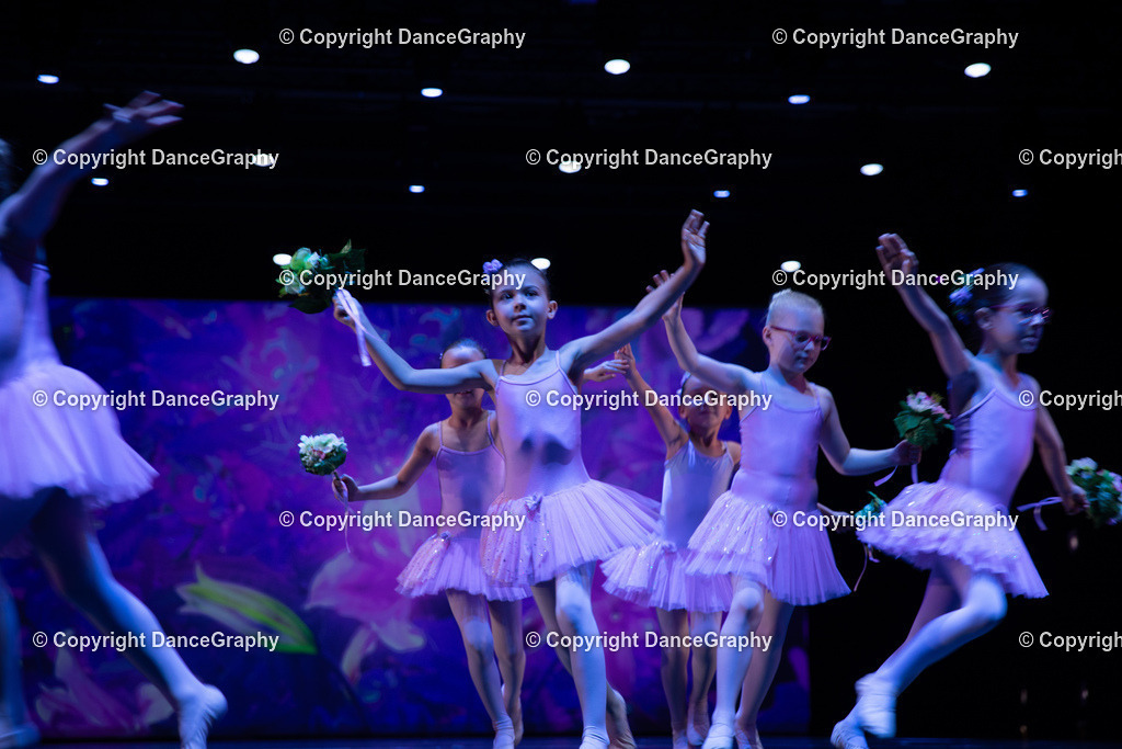 GPHY4862 | DanceGraphy - Realisiert mit Pictrs.com
