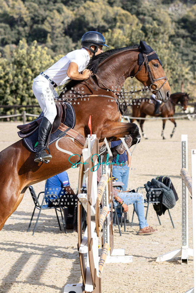 IMG_0218 | s-jay-photography - Realisiert mit Pictrs.com