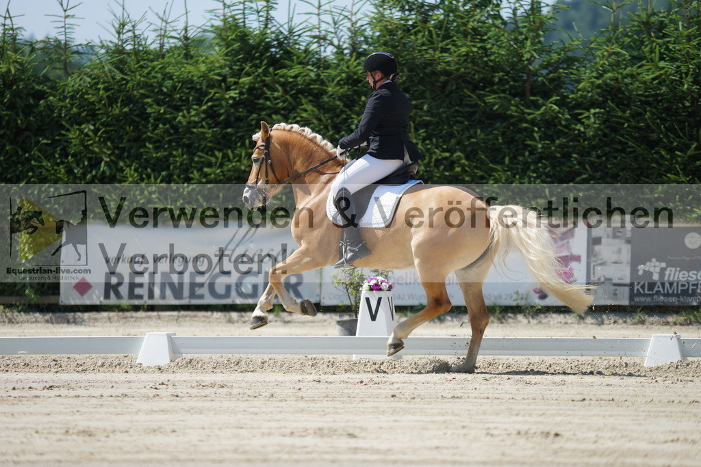 DSC02229 | equestrian-live-com