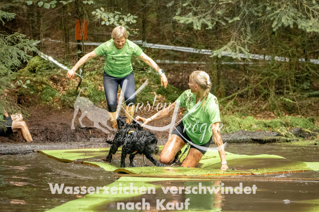 1226_ZZ94589-Bearbeitet | kk-dogfotos