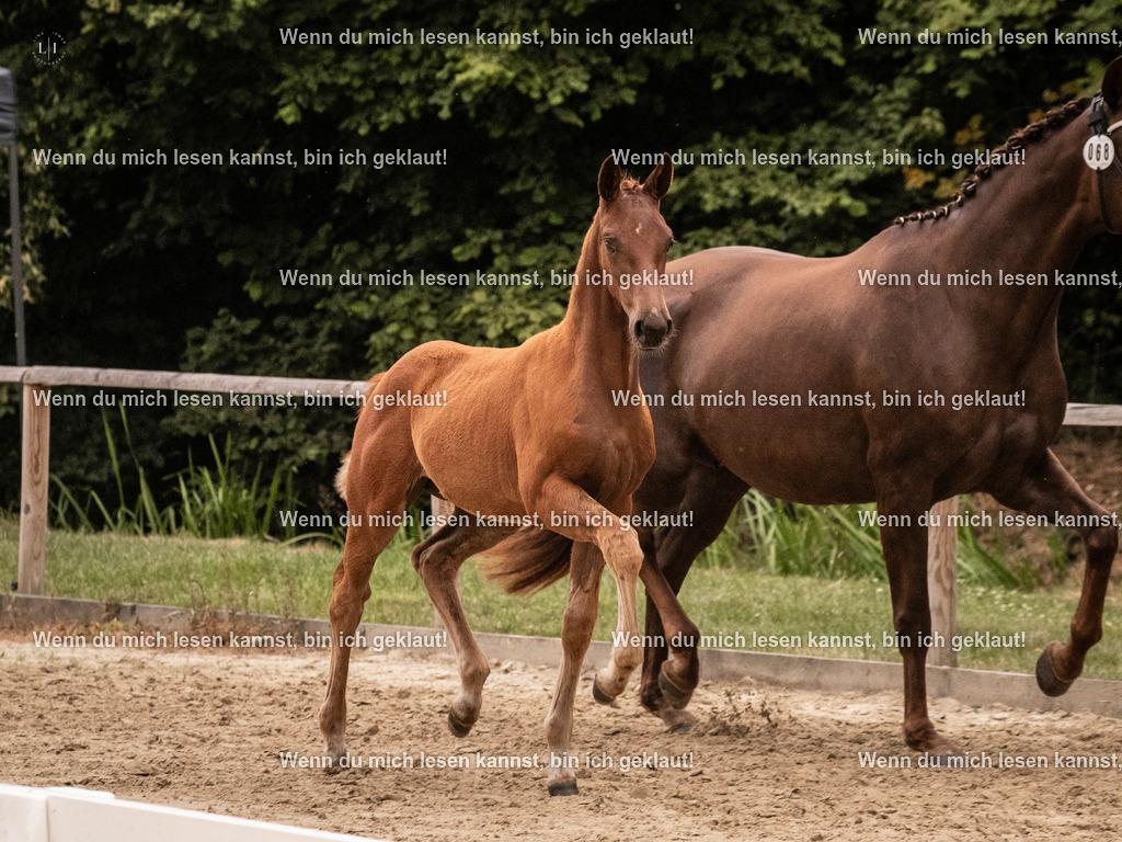 A10I6793 | photographylinaismer - Realisiert mit Pictrs.com