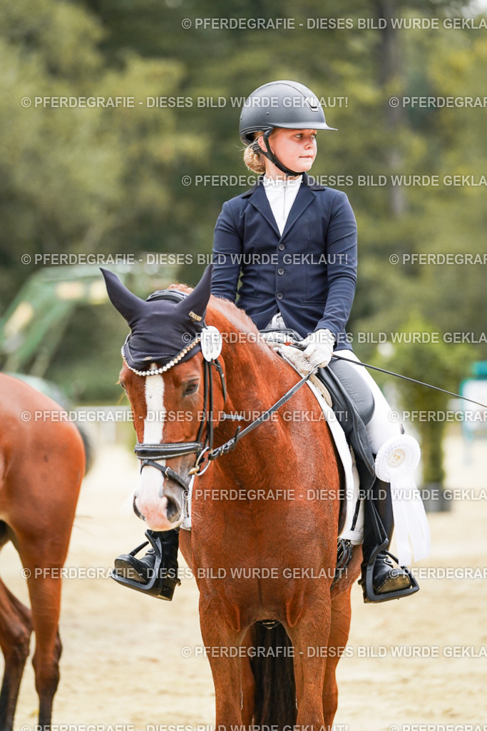 DSC06256 | Pferdegrafie