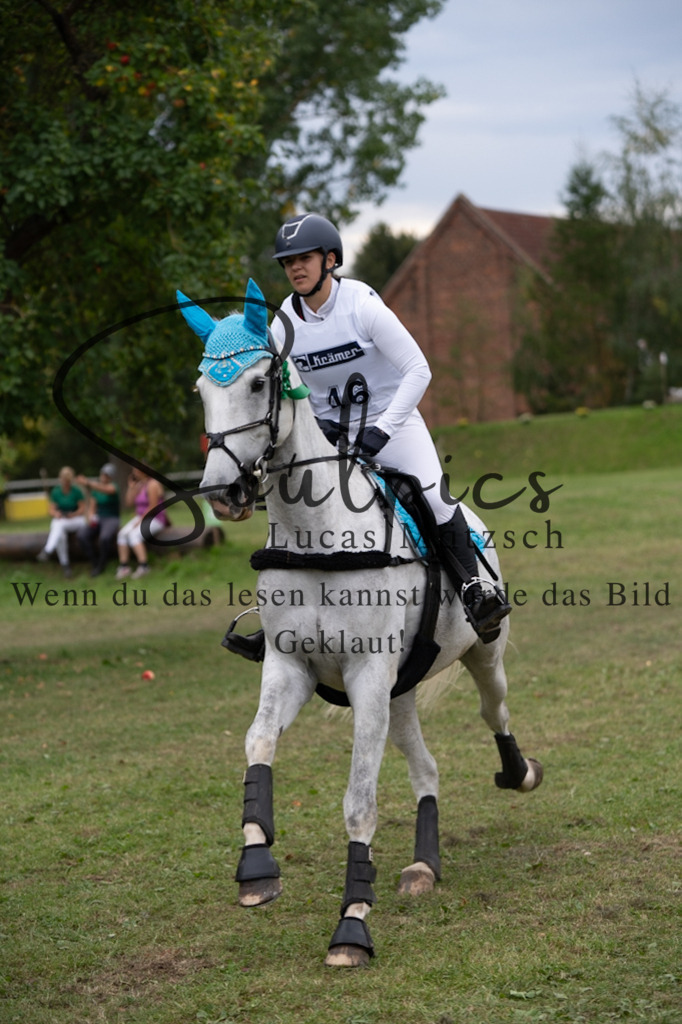 A7V03626 | Pferdefotograf