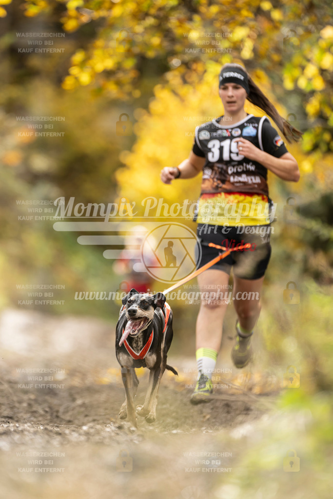 MompixPhotography_ICF_WC_2024_SA_Run_-204 | PayLife
