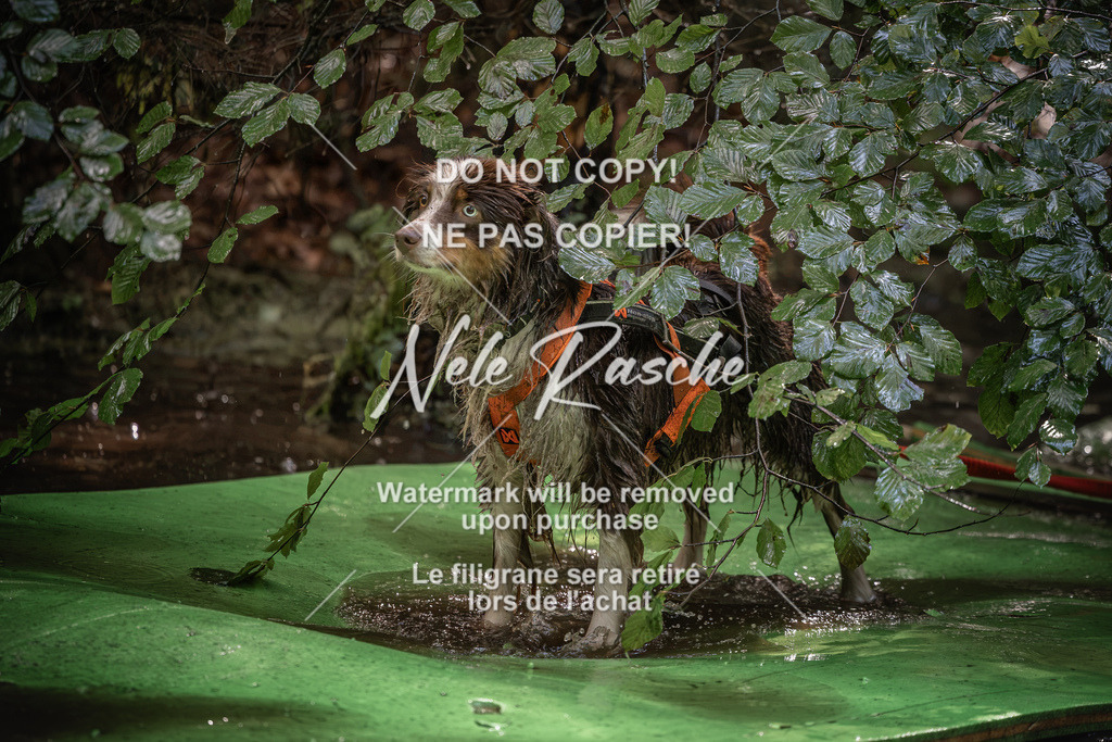 nelerasche_Wingst_Sa1330-1400_219 | nelerasche